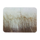 Search for dune magnets Landscapes