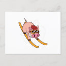 Search for cool postcards Animals