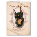 Search for doberman mom postcards Dog