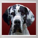 Search for harlequin posters Face