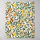 Search for pomegranate fruit posters William morris