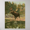 Search for moose hunting posters Nature