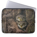 Search for bird s nest electronics Owl