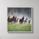Search for wall hangings canvas prints Animals