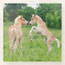 Search for horse coasters Cute