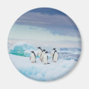 Search for antarctica magnets Landscape