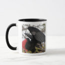 Search for magnificent mugs Bird