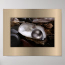 Search for oyster posters Modern