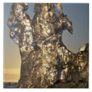 Search for iceberg tiles Environment