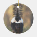 Search for skunk christmas tree decorations Nature