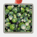 Search for fresh christmas tree decorations Nutrients