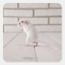 Search for mammal stickers White