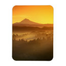 Search for fog magnets Mountain