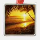 Search for maui christmas tree decorations United states