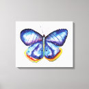 Search for blue butterfly art Watercolor