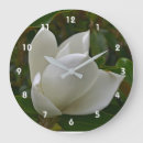 Search for magnolia clocks Tree