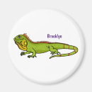 Search for iguana magnets Lizard