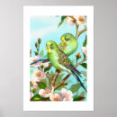 Search for budgie art Pets