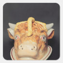 Search for dishes stickers Collection