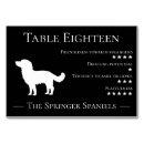Search for springer Dog lover
