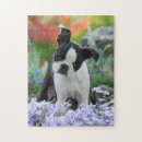 Search for bull terrier puzzles Cute