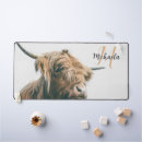 Search for hairy mouse mats Cow