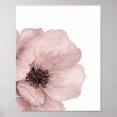 Search for poppys posters Pink poppy