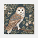 Search for owl magnets Bird