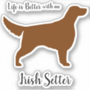 Search for chestnut cases Irish setter