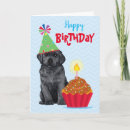 Search for black lab birthday cards Puppy