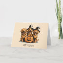 Search for spider lover cards Jack o lantern