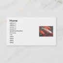 Search for koi fish business cards Water