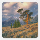 Search for nps stickers Mountain