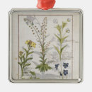 Search for dandelion christmas tree decorations Flower