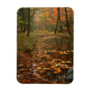 Search for appalachia cards Fall