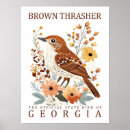 Search for thrasher posters Bird