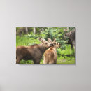 Search for bonds canvas prints Nature
