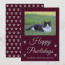 Search for grey cat christmas cards Pet