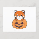 Search for panda lovers postcards Red panda lover