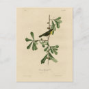 Search for throat postcards Illustration