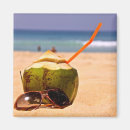 Search for coconuts magnets Summer