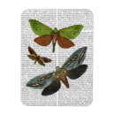 Search for flies magnets Flowers