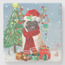 Search for pug coasters Animals