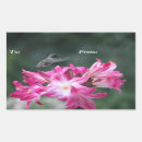 Search for bird lover rectangle stickers Nature