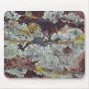Search for nevada electronics Nature