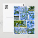 Search for babie vertical postcards Flower