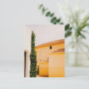 Search for toro postcards Vintage