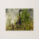 Search for sandhill crane puzzles Wildlife