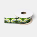 Search for hydrangea ribbon Blue