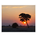 Search for african sunrise art Tree